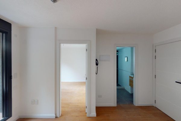 0.11356100_1728490545