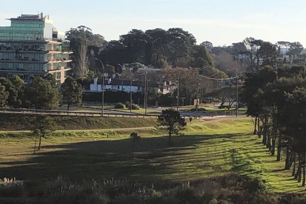 WhatsApp Image 2026-02-03 at 18.41.27